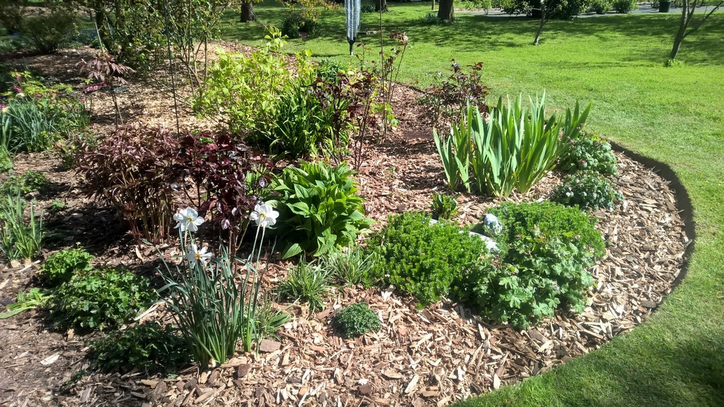 PAILLAGE éclats de Bois & écorce pour paillage Couvre-Sol en Vrac au m3