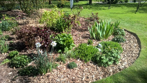 PAILLAGE éclats de Bois & écorce pour paillage Couvre-Sol en Vrac au m3